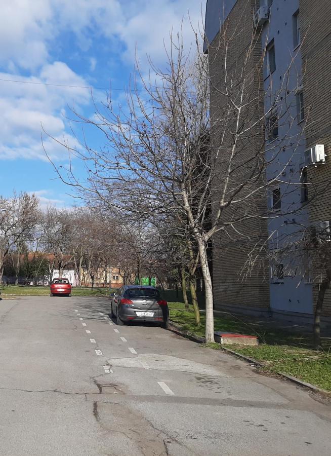 Koks Apartmans Subotica Esterno foto